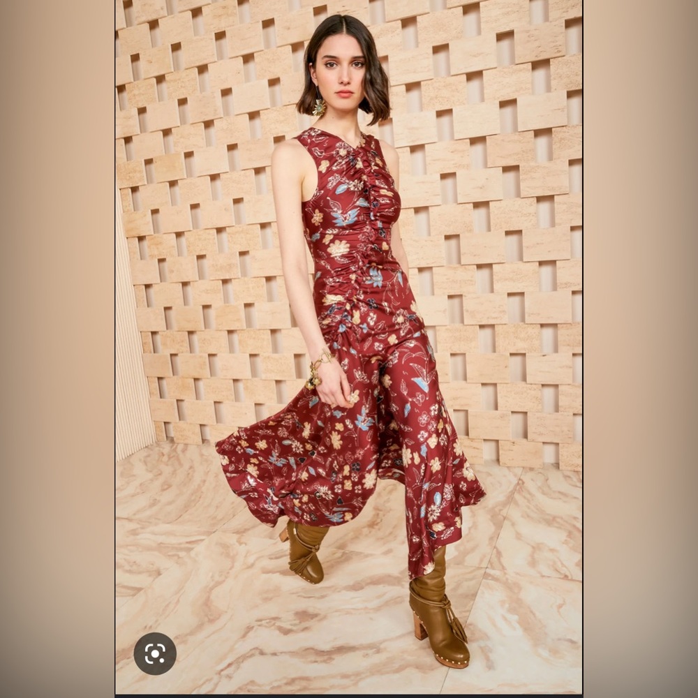 NWT Ulla Johnson Alma Dress
